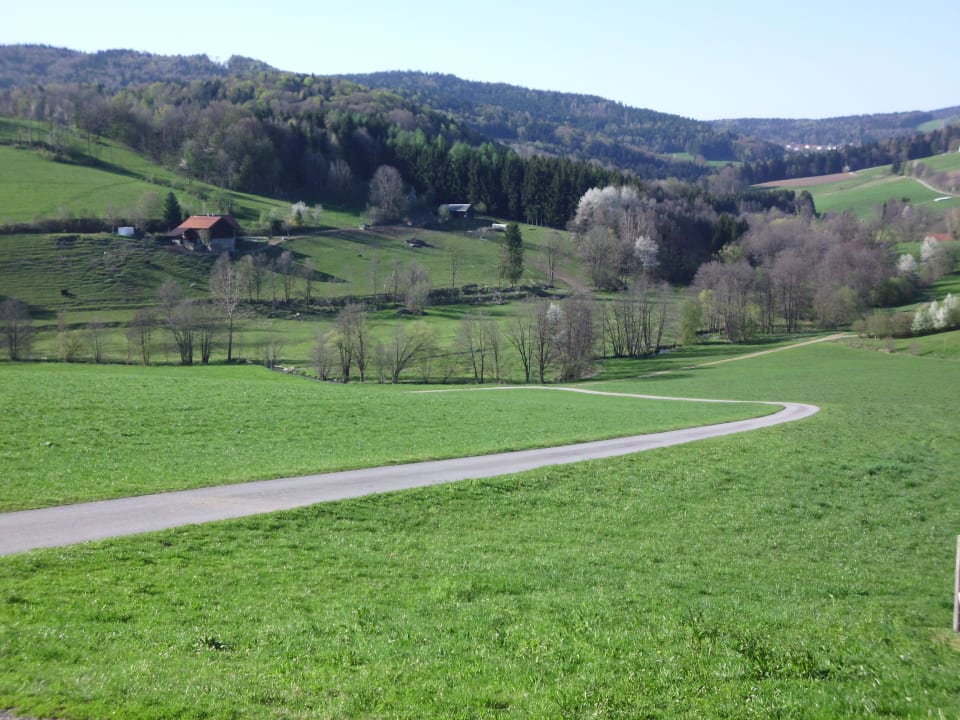 Blick vom Hof ins Tal Frongahof Eckerl Böhmzwiesel
