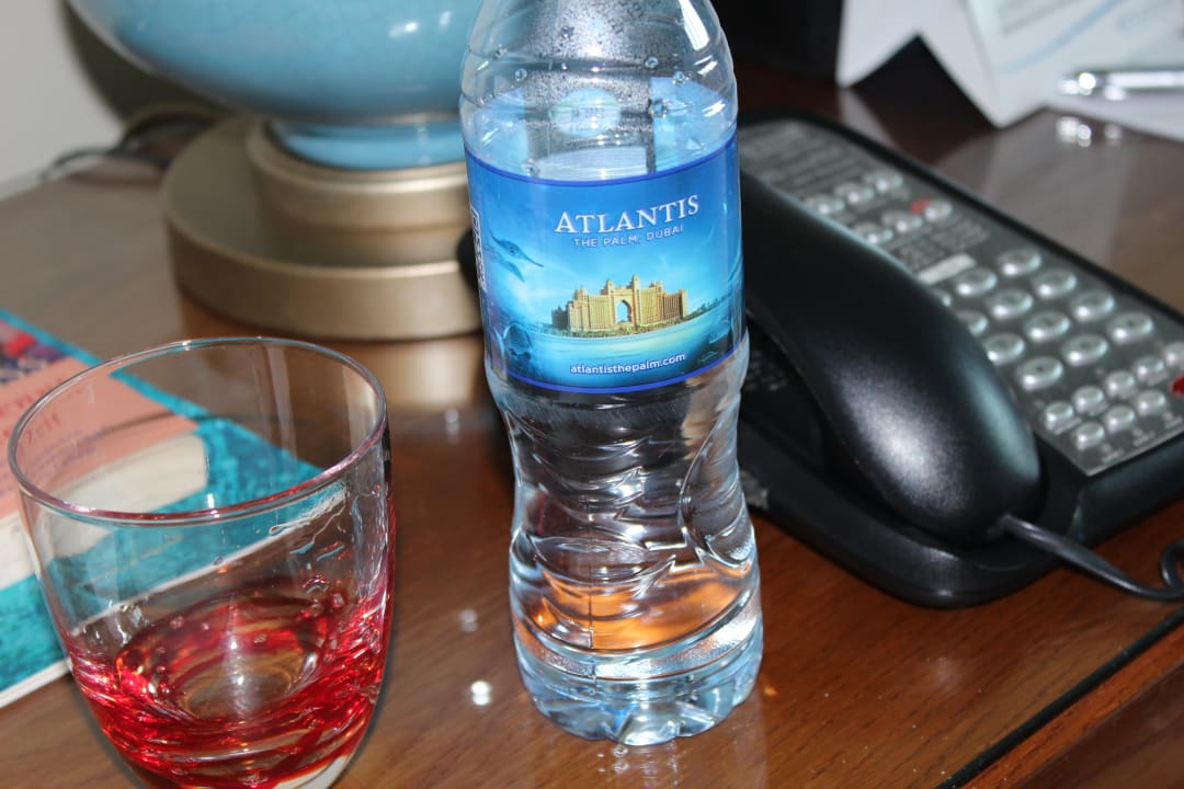 Zimmer Atlantis, The Palm