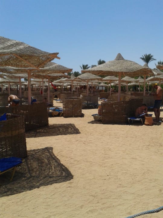 Blick von der Liege Jaz Makadi Oasis Resort