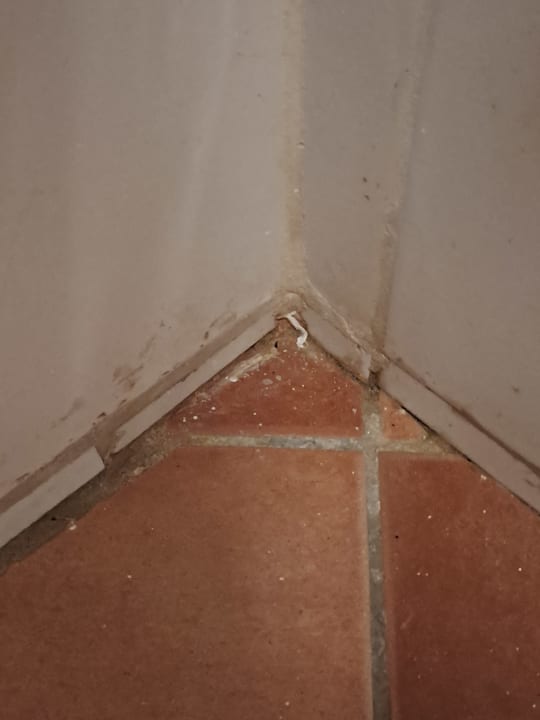 Gastro Occidental Boa Vista Beach