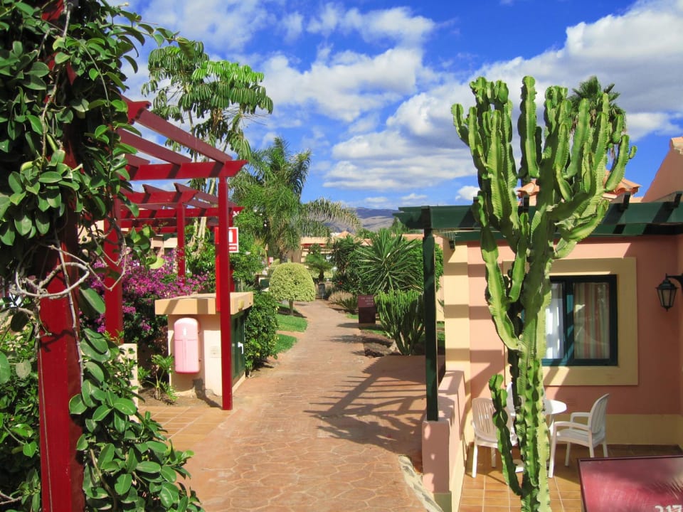 Zu den Bungalows allsun Hotel Esplendido