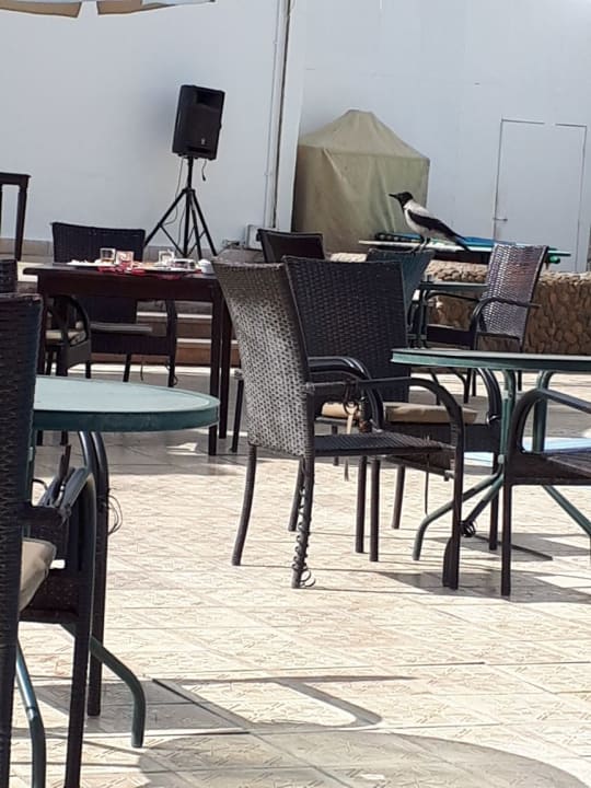 Gastro Regina Resort and Aqua Park Hurghada