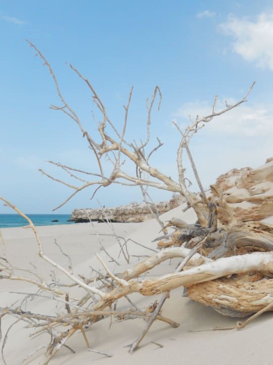 Strandimpressionen Hotel Riu Touareg