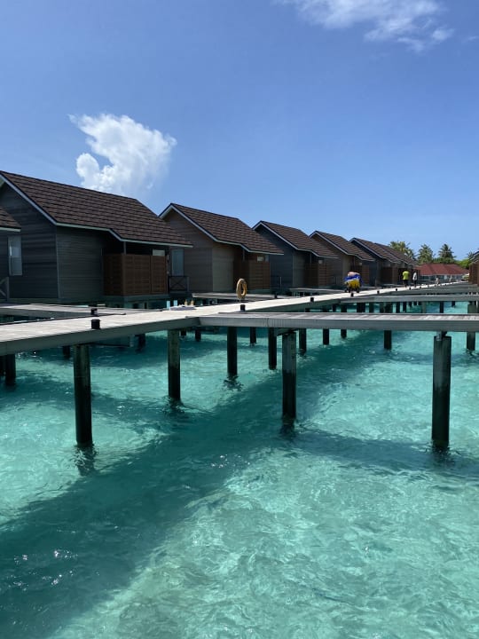 Pool Dhigufaru Island Resort