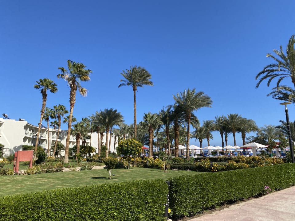 Gartenanlage Amarina Abu Soma Resort & Aquapark
