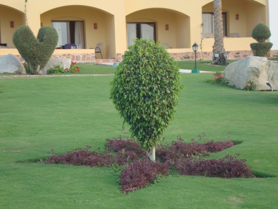 Liebevoll gestaltet Jaz Solaya