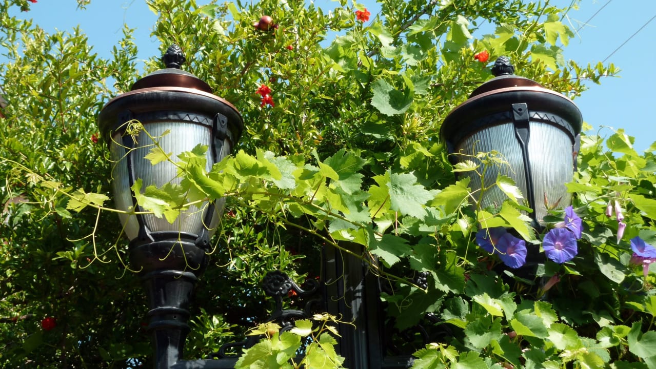 Am weg zum Strand Merve Sun Hotel & Spa