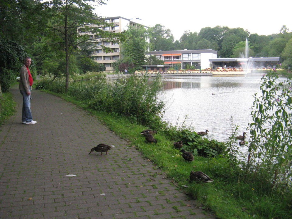 Außenansicht Hotel am See