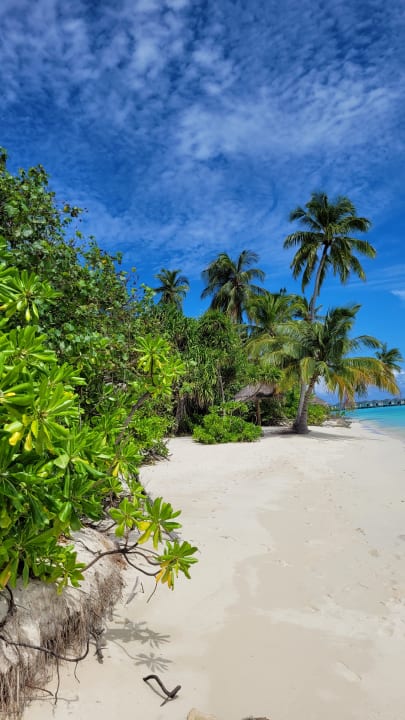 Strand NH Collection Maldives Havodda Resort