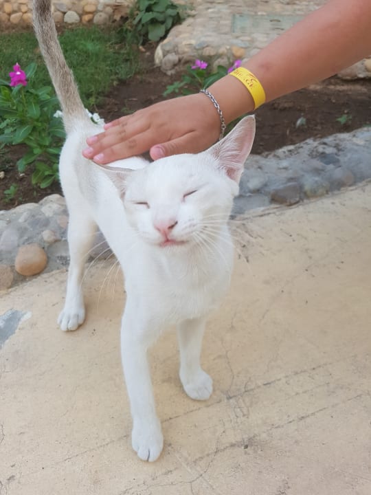 Sonstiges Mirage Bay Resort & Aqua Park