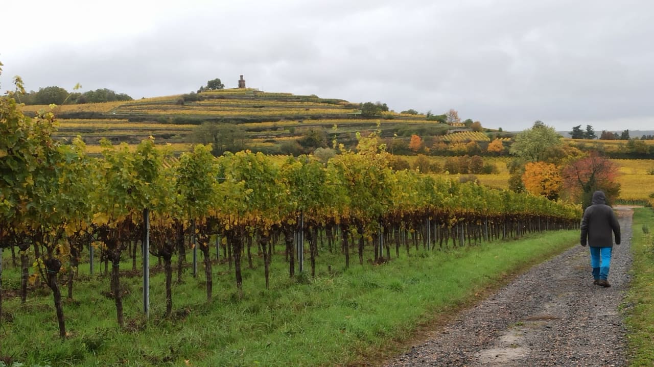 Sport & Freizeit KNAUS Campingpark Bad Dürkheim