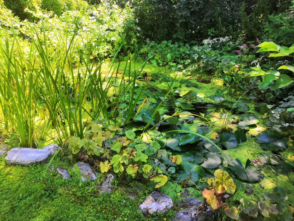 Gartenanlage Sendlhofer's