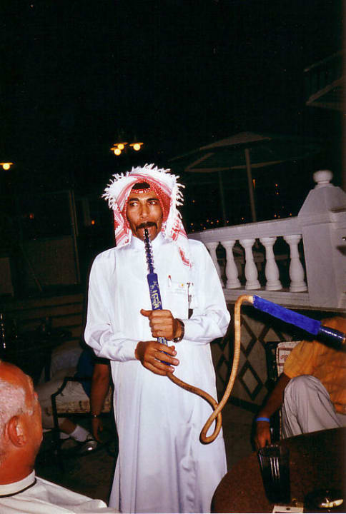 Captain Farag Beach Albatros Resort
