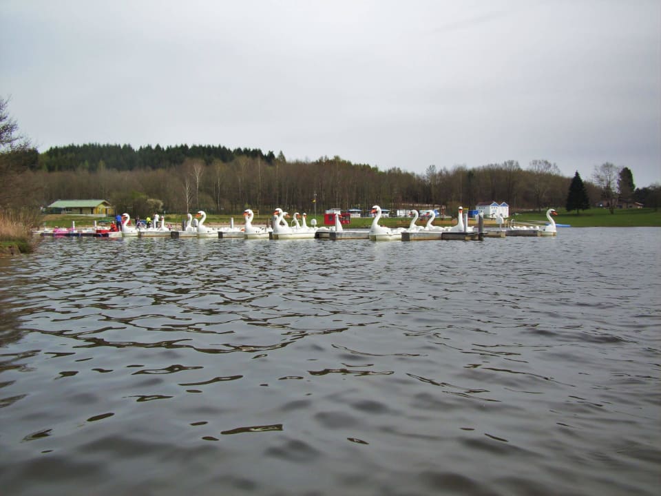 Bostalsee Center Parcs Park Bostalsee