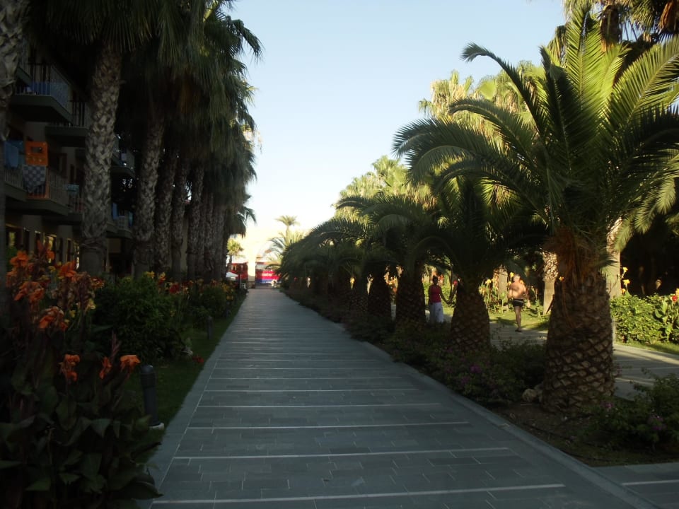 Der Weg von den Häusern zum Pool/Meer/Restaurant Club Grand Side