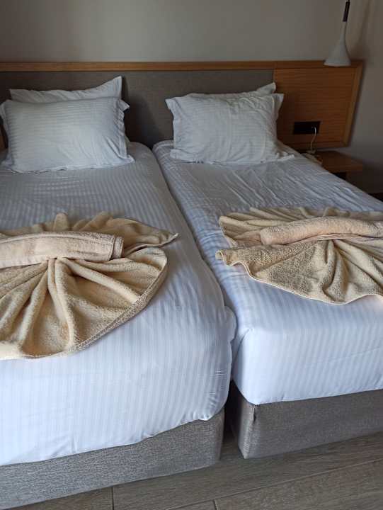 Zimmer Gaia Garden Hotel