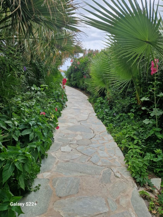 Gartenanlage Hotel South Coast