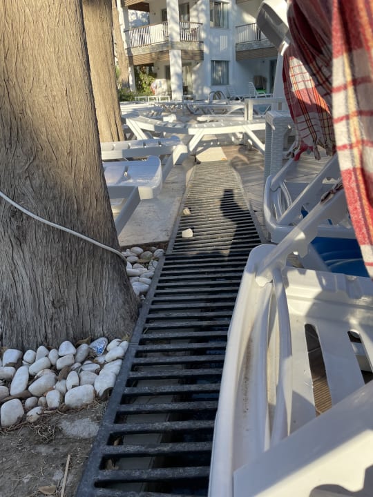 Pool Ladonia Hotels Mio Bianco