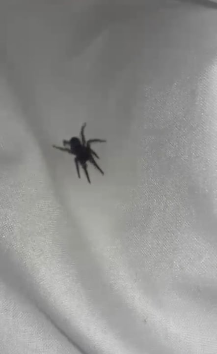 Zimmer B&B Hôtel Marne-la-Vallée