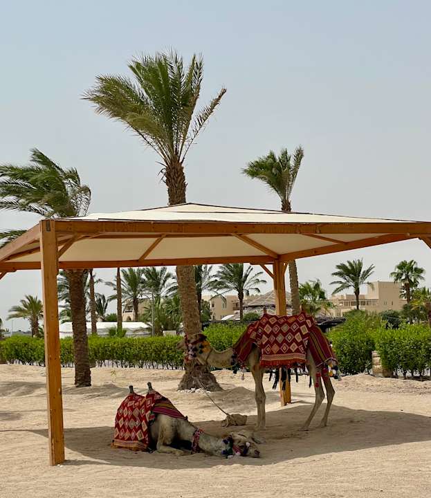 Außenansicht ROBINSON SOMA BAY