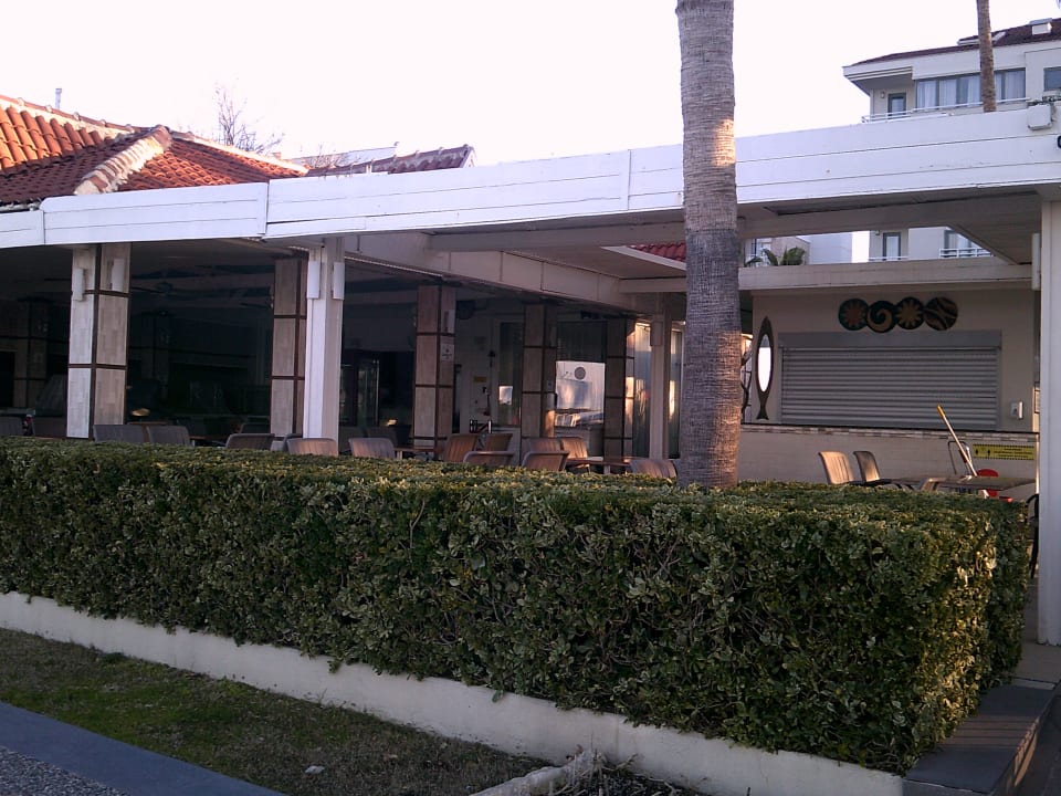 Gastro Side Star Beach