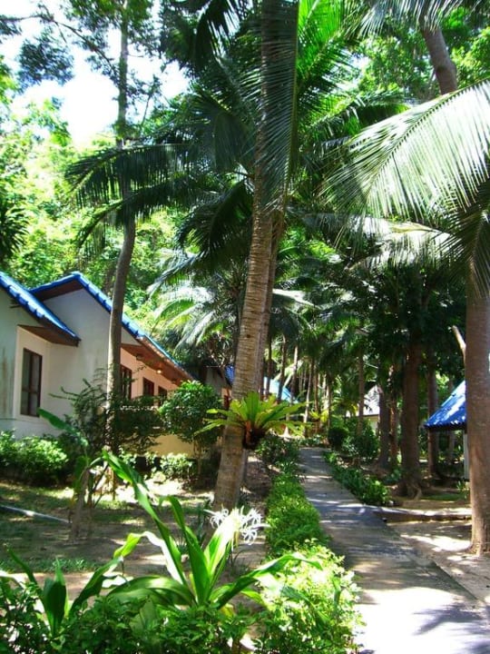 Giardino Hotel Coral Island Resort