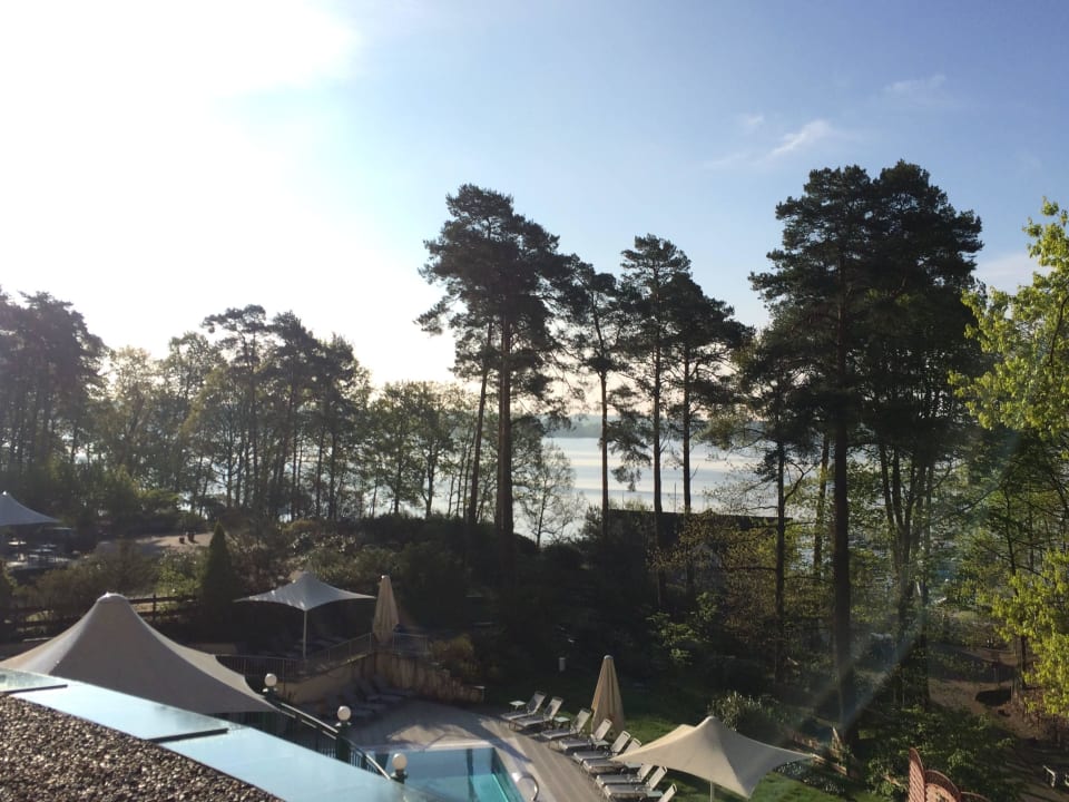 Blick auf die Poollandschaft Precise Resort Bad Saarow am Scharmützelsee