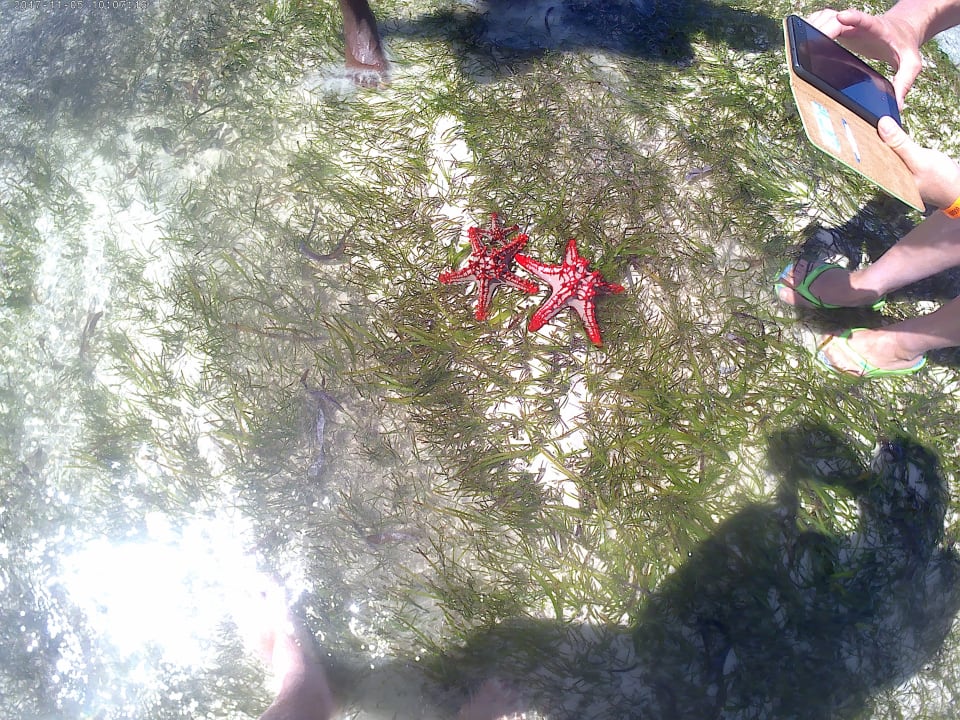 Strand Neptune Paradise Beach Resort & Spa