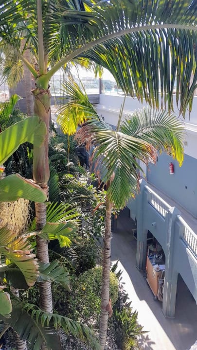 Ausblick Adrián Hoteles Colón Guanahaní - Adults only