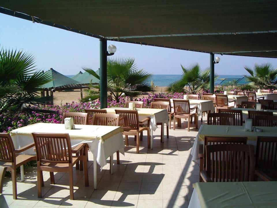 Пляжный ресторан VONRESORT Golden Beach