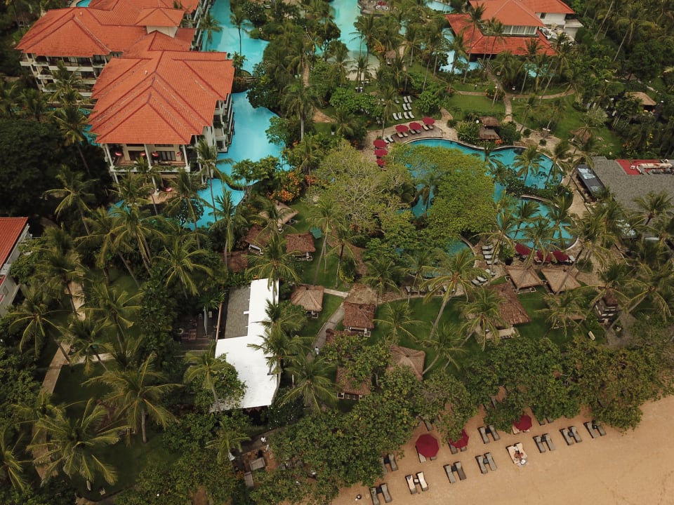 Hotel The Laguna A Luxury Collection Resort & Spa