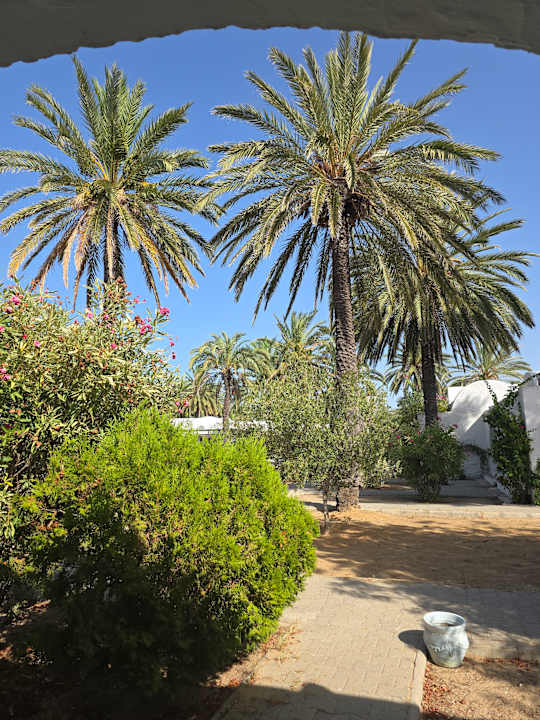 Gartenanlage Monarque Club Rivage
