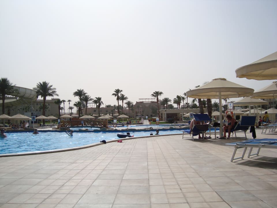 Pool Beach Albatros Resort