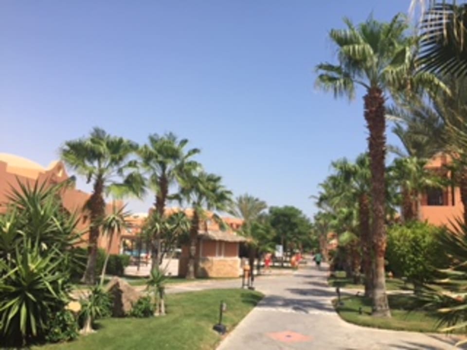 Gartenanlage Jaz Makadi Oasis Resort