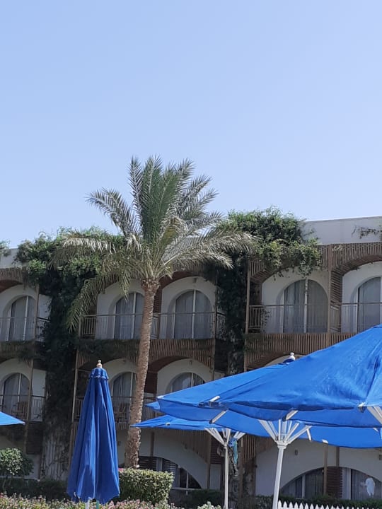 Ausblick Desert Rose