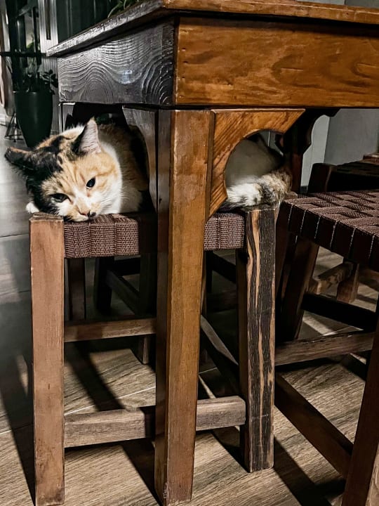 Sonstiges Seaden Quality Resort & Spa