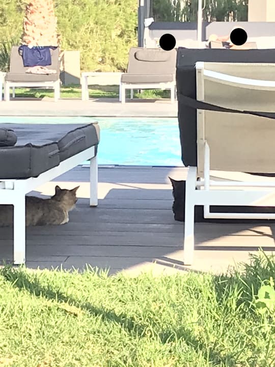 Gastro NEMA Design Hotel & Spa (Adults Only)