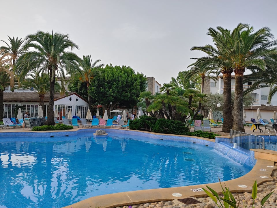 Pool Alcudia Garden Aparthotel