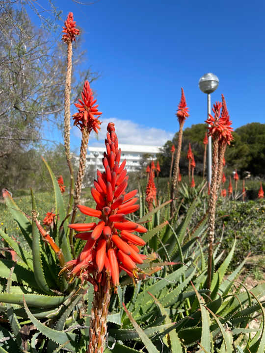 Außenansicht Grupotel Acapulco Playa - Adults Only