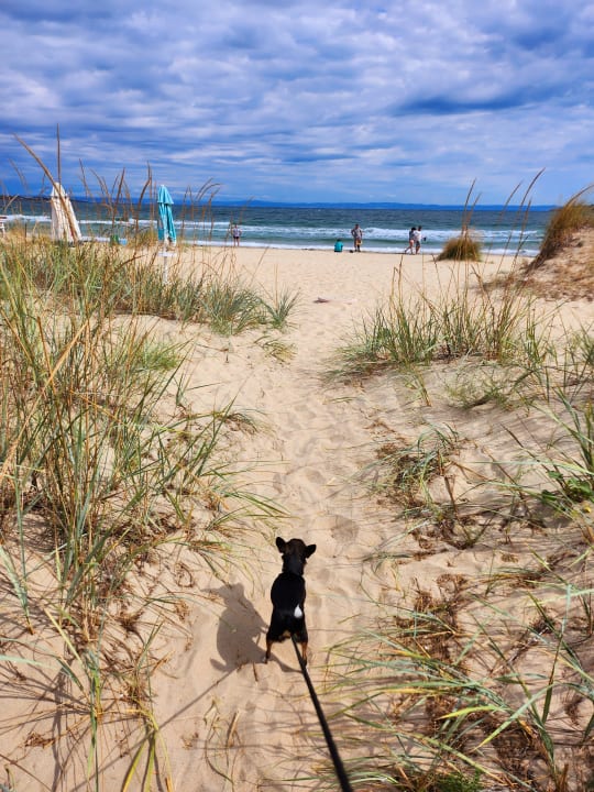 Strand Hacienda Beach
