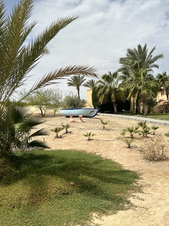 Gartenanlage Steigenberger Coraya Beach - Adults only