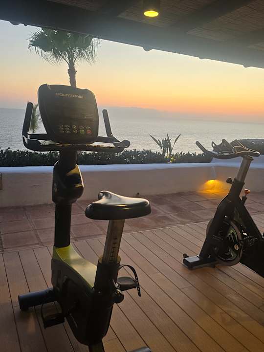 Sport & Freizeit Dreams Jardín Tropical