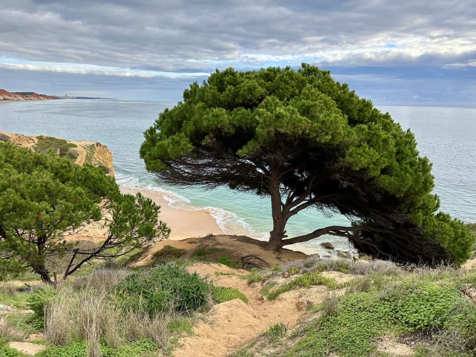 Gartenanlage PortoBay Falésia