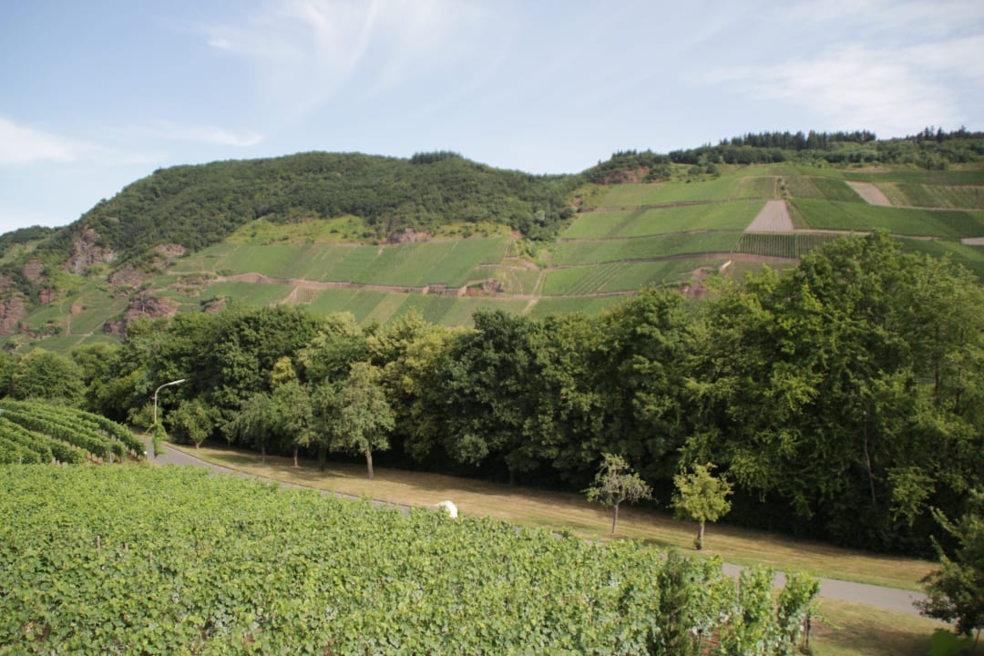 Ausblick Pension auf dem Weingut Edgar Schwaab