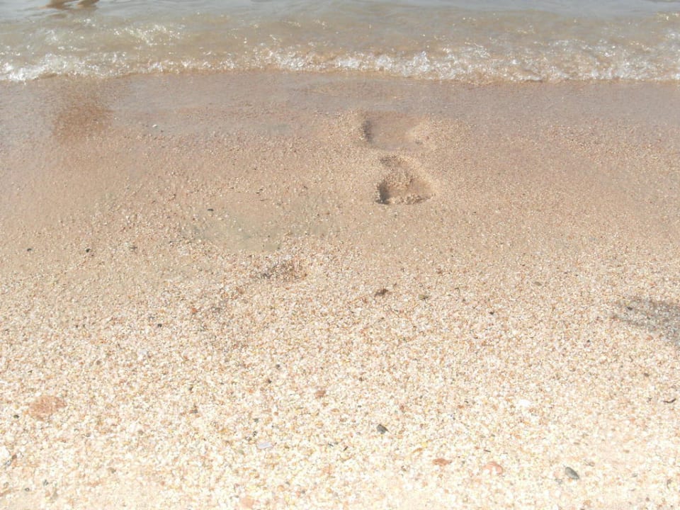 Strand Pickalbatros Dana Beach Resort - Hurghada