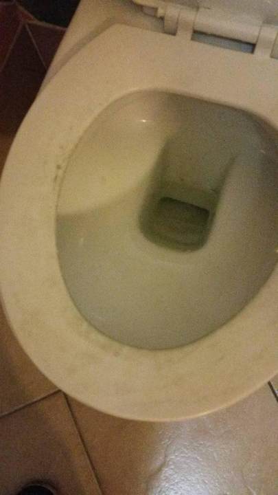 Toilette im Bezugszustand !! Iberostar Origin Playa Alameda