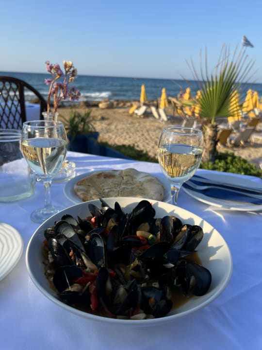 Gastro Cactus Mare - Adults only