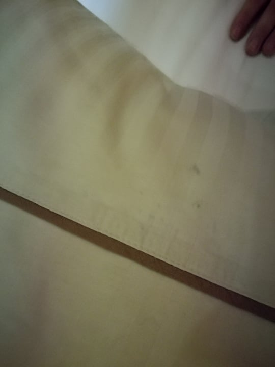 Zimmer Grand Waterworld Makadi & Family Star Makadi