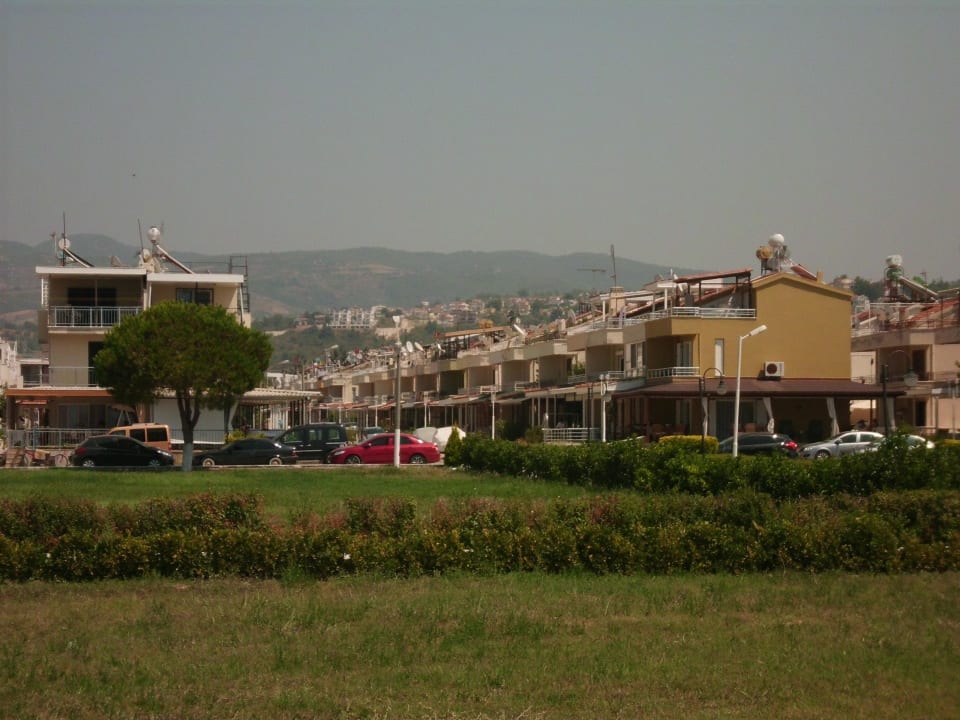 Neben dem Hotel,Pferde und einheimische Wohnanlage Atlantique Holiday Club