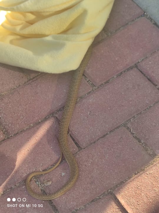 Sonstiges Seaden Sea World Resort & Spa